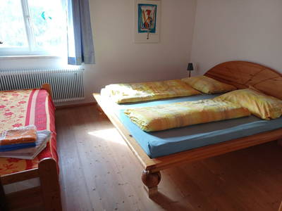 Bild 51 aus Biobauernhof 'Moar in Greith'