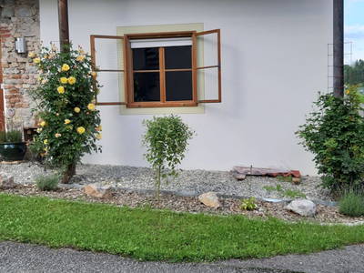 Bild 19 aus  Roadl Hütte