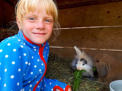 Bild 153 aus  Bio Naturhof Ottingerhof