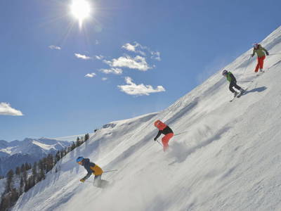 Bild 136 aus  Holzackerhof