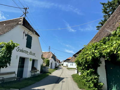 Bild 38 aus  Ferienhaus Weinviertel