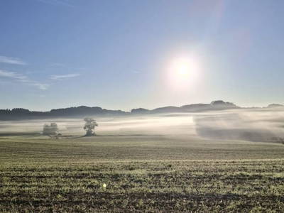 Bild 187 aus  Zehentnerhof