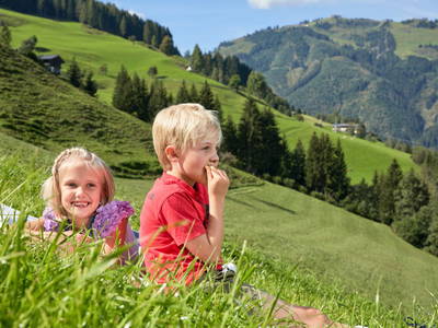 Bild 127 aus Berglodge Grossarl
