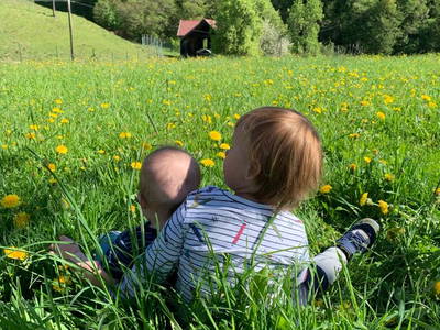 Bild 22 aus  Pirkerhof