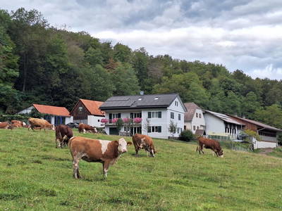 Bild 120 aus  Grabenbauer