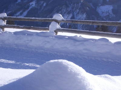 Bild 39 aus  Ferienhof Hafele