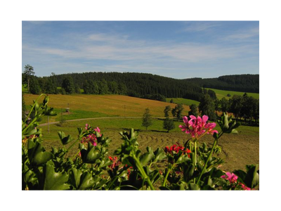 Bild 14 aus  Salenhof