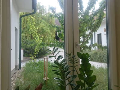 Bild 18 aus  Gästehaus Lösshof