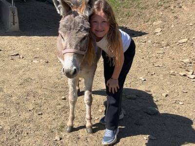 Bild 14 aus  Lahnerhof