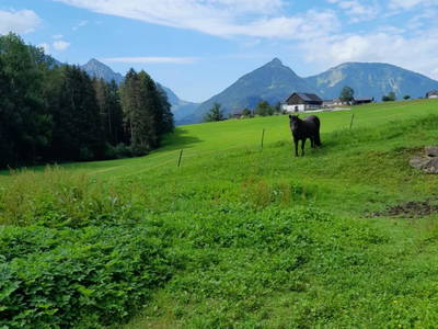 Bild 10 aus  Rußbachbauer