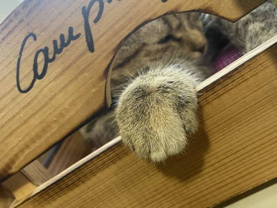 Bild 18 aus  Ferienhof Hinterstrasser Fam. Putz