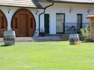 Bild 151 aus  Winzerhof Küssler, Weinviertel