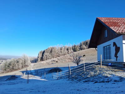 Bild 155 aus  Roiderhof am Irrsee