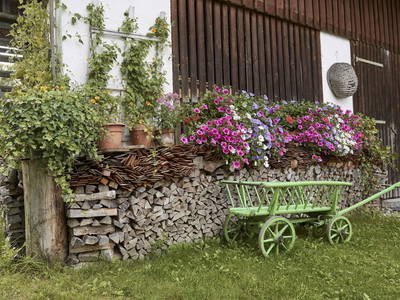 Bild 24 aus  Stückler - Hütte