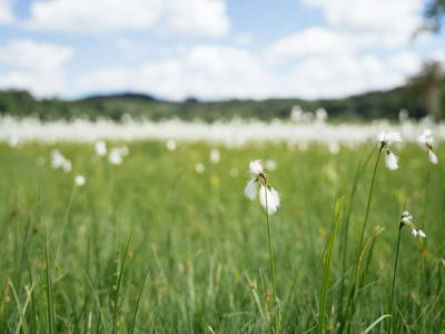 Bild 203 aus  Zehentnerhof