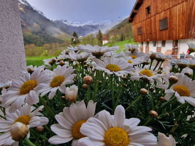 Bild 36 aus  Chalet Bascht am Maroldenhof