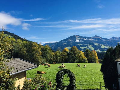 Bild 6 aus  Erbhof Hinting + Appartementhaus Hinting