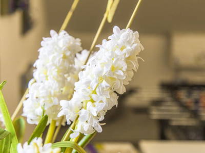 Bild 61 aus  Kropflehen