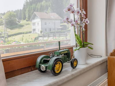 Bild 179 aus  Pleschinhof