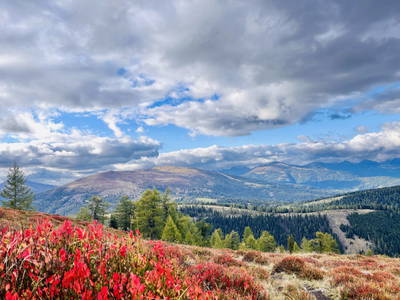 Bild 10 aus  Laußnitzer Hütte