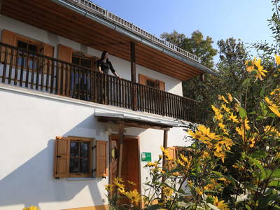 Bild 64 aus  Kreinzhuabn