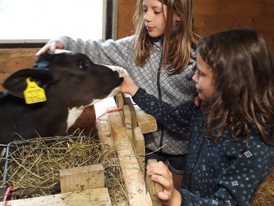 Bild 34 aus  Karlbauerhütte