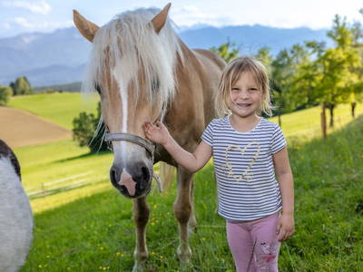 Bild 130 aus  Pleschinhof