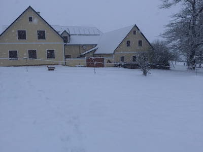 Bild 28 aus  Hacklhof