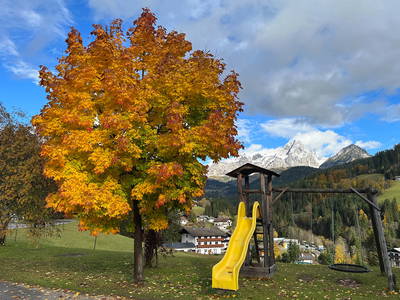 Bild 18 aus  Mittersteghof
