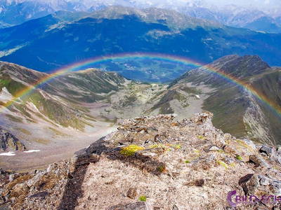 Bild 15 aus  Haus Wille