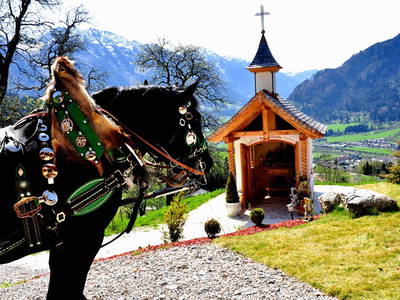 Bild 38 aus  Mitterbichlhof