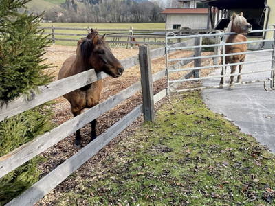 Bild 145 aus  Heisshof 