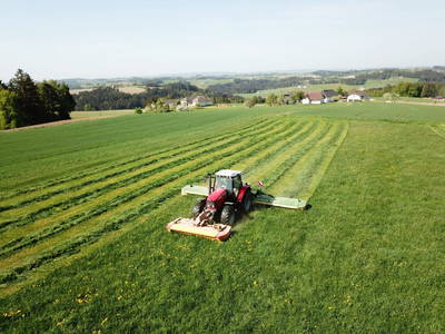 Bild 19 aus  Grainmeister