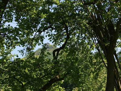 Bild 8 aus  Radlerhof Kienesberger