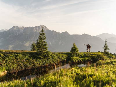 Bild 47 aus  Chalet Matzhof