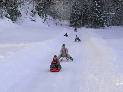 Bild 28 aus  Lambachhof