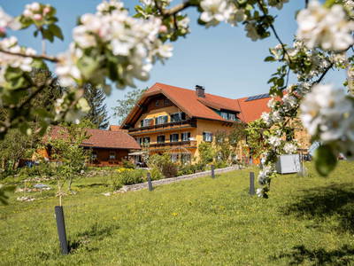 Bild 2 aus  Dichtlhof