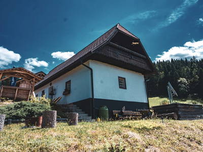 Bild 19 aus  Nussbolterhube