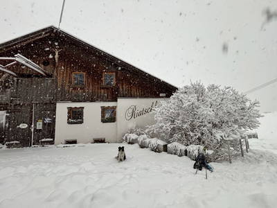 Bild 135 aus Riatschhof