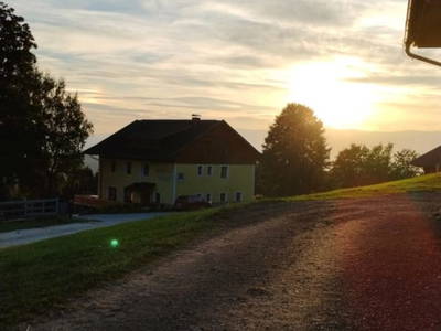 Bild 37 aus  Langhanshütte