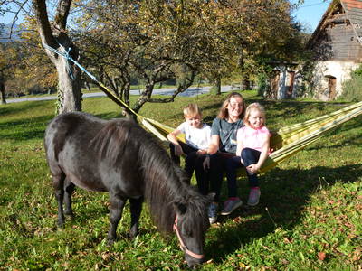 Bild 34 aus  Hoferpeter