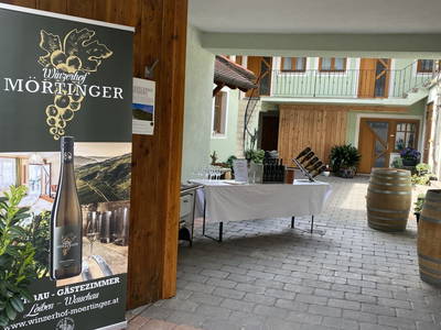 Bild 21 aus Winzerhof Mörtinger