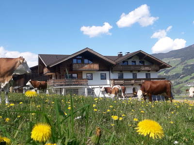 Bild 2 aus  Schorpenhof