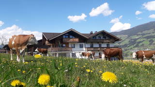 Schorpenhof aus Fügenberg