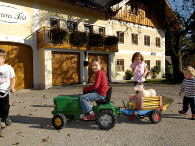 Bild 2 aus  Unteres Feld