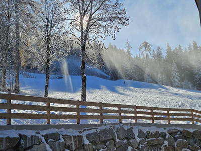 Bild 15 aus  Peterlehen