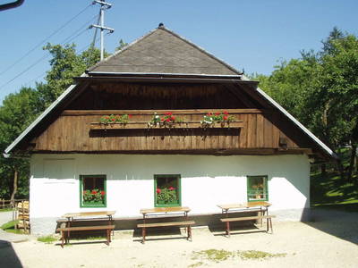 Bild 31 aus  Bauernhof Krainz