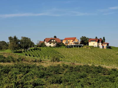 Bild 55 aus  Weinhof Reichmann