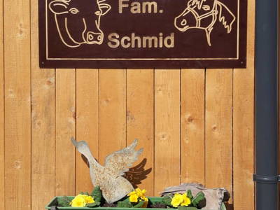 Bild 10 aus  Bauernhof Gfraser