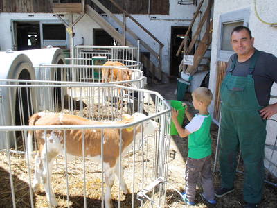 Bild 20 aus  Stefanutti Hof